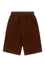 Cord Trousers Brown & Blue Stripe