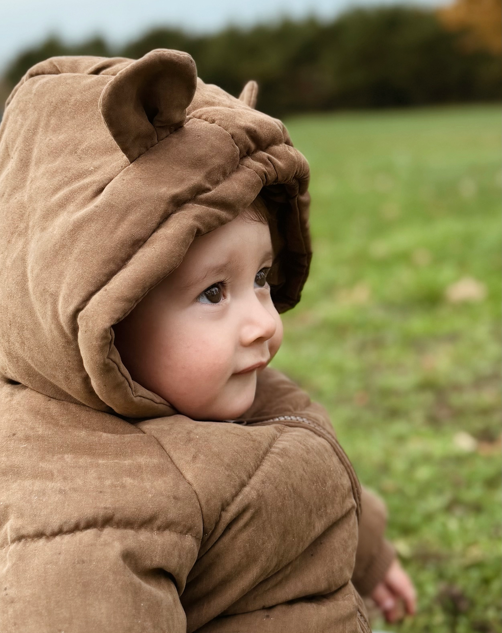 Bear Hood Puffer Coat Brown